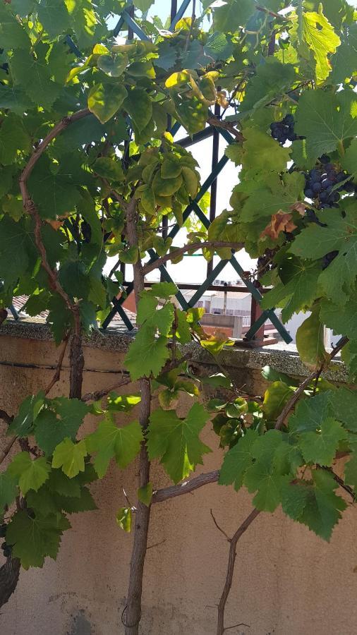 Apartamento Mediterraneo 피네다데마르 외부 사진